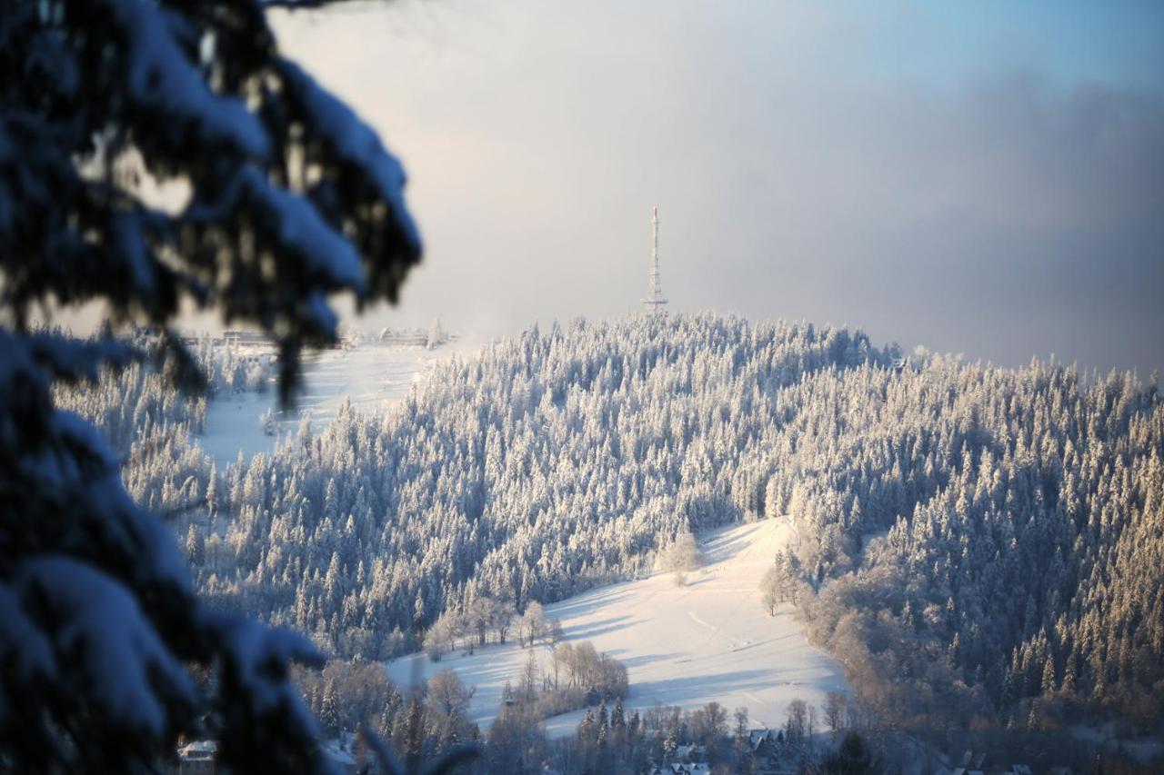 Deer Premium Zakopane