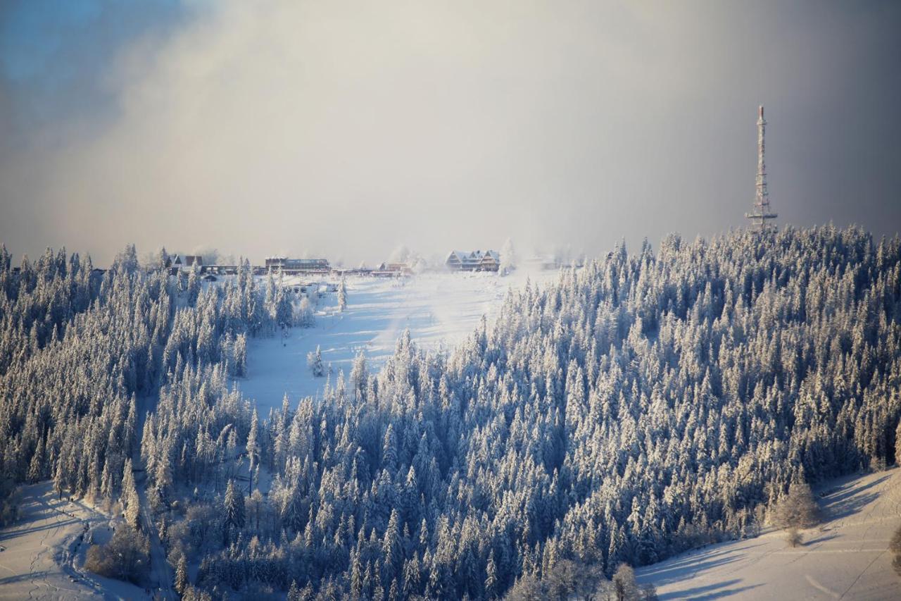 Deer Premium Zakopane
